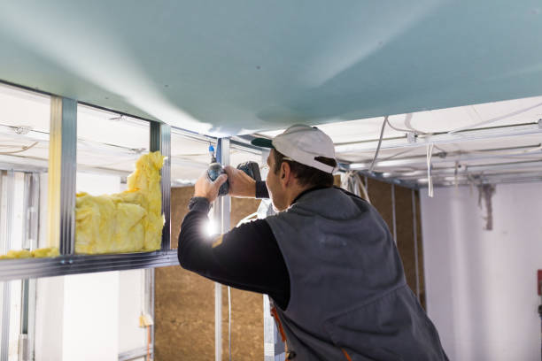 Best Eco-Friendly Insulation in Flemington, GA