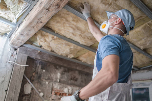 Best Insulation for Specific Applications in Flemington, GA