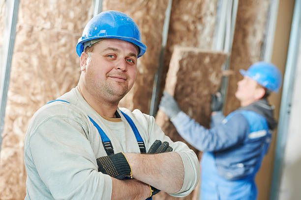Best Cellulose Insulation in Flemington, GA