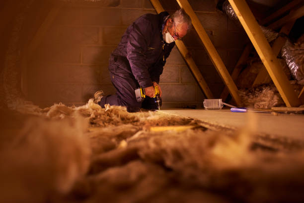 Best Specialized Insulation Services in Flemington, GA